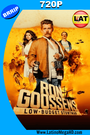 Ron Goossens, Low Budget Stuntman (2017) Latino HD 720P ()